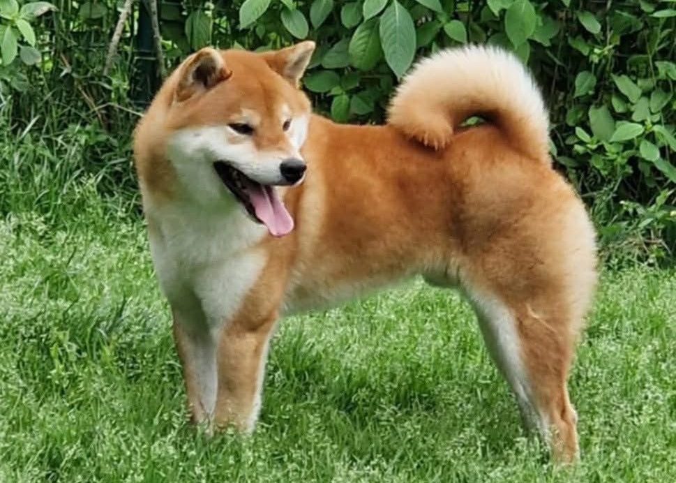 Kotoshoji go Sapporo Kagasou